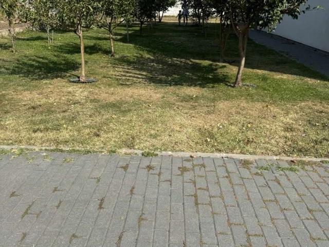 Apartament 2 camere Complex rezidential central Magurele