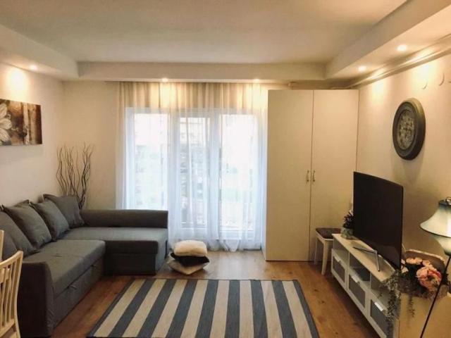 Apartament 2 camere de inchiriat Cosmopolis