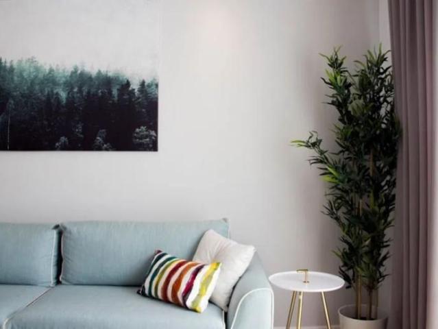 Apartament 2 camere de inchiriat Cosmopolis