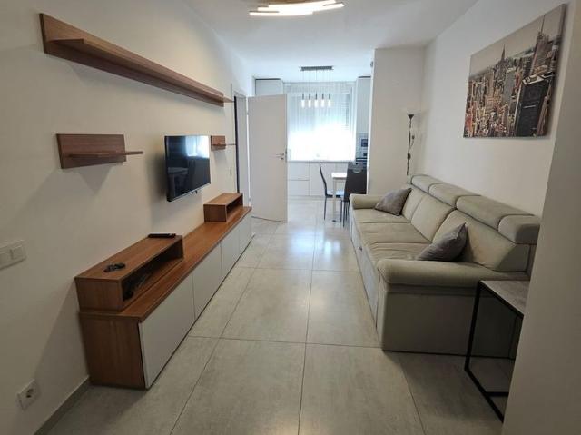 Apartament 2 camere de închiriat – str. Tudor Vladimirescu, ARED