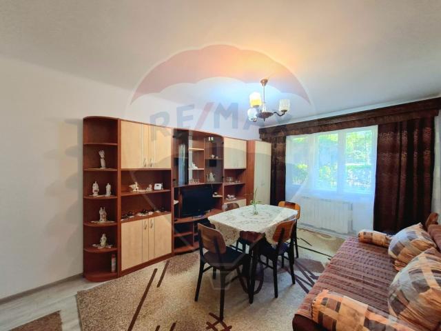apartament 2 camere decomandat, centrala gaz, de închiriat podgoria