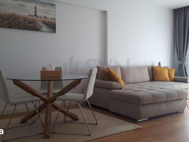 Apartament 2 camere II Herastrau II Parkview