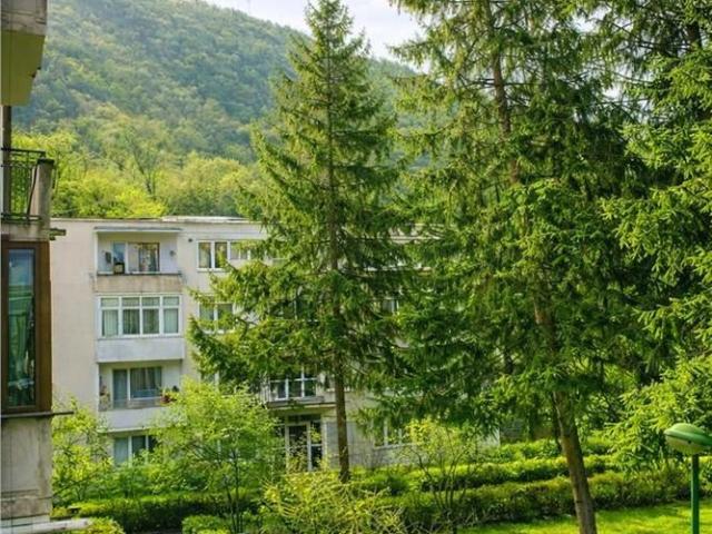 Apartament 2 camere,luminos,incadrat de liniste si verdele naturii,Ult