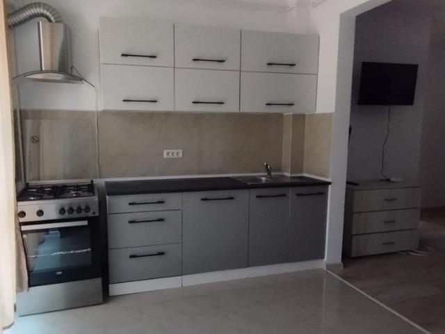 APARTAMENT 2 CAMERE, PARTER, PET FRIENDLY, PARCARE, POPAS PACURARI