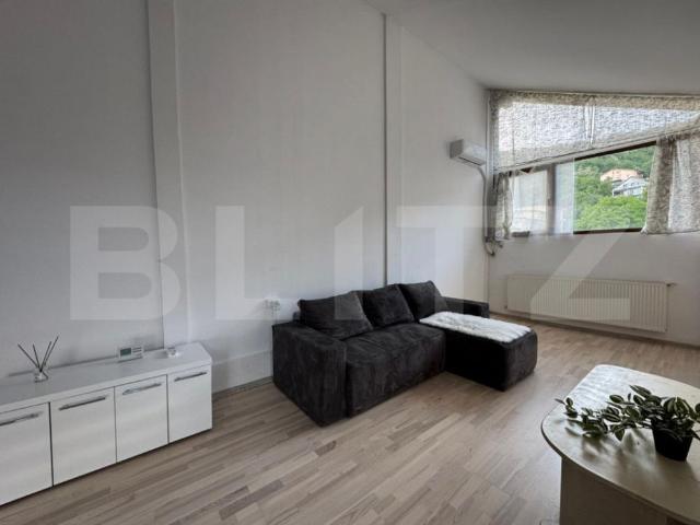 Apartament 2 camere, pet friendly, 65 mp, zona Faleza Grigor
