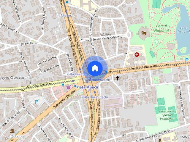 Apartament 2 camere renovat, cat friendly, balcon, etaj 1, Basarabiei