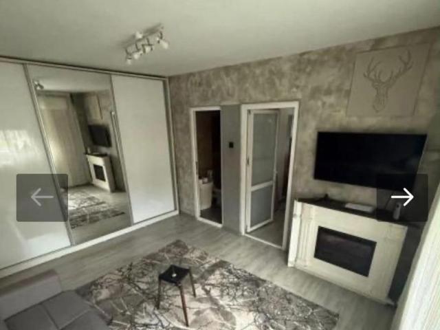 Apartament 2 camere ultracentral Cismigiu PET FRIENDLY