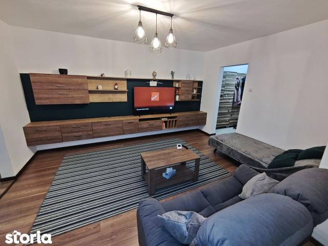 Apartament 2 Camere Constantin Brancusi