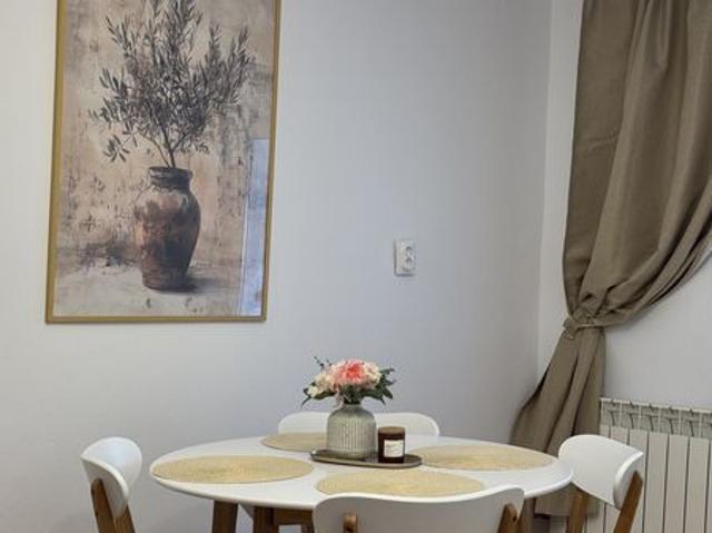 Apartament 2 dormitoare in regim hotelier Tolstoi Cetate
