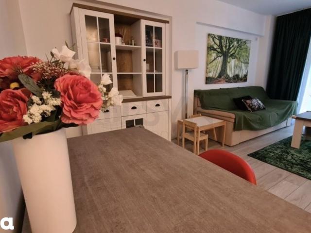 Apartament 3 camere cu gradina Aviatiei Baneasa