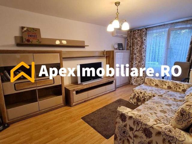 Apartament 3 camere de inchiriat Teiul Doamnei Bucuresti ApexImobilia