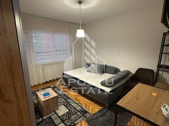 Apartament 3 camere de inchiriat,Centrala Proprie,Balcescu Timisoara