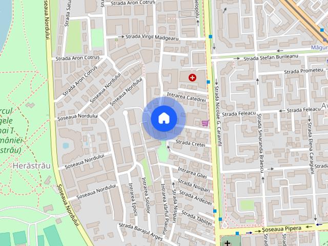 Apartament 3 camere Herastrau, Nicolae Caramfil, #977
