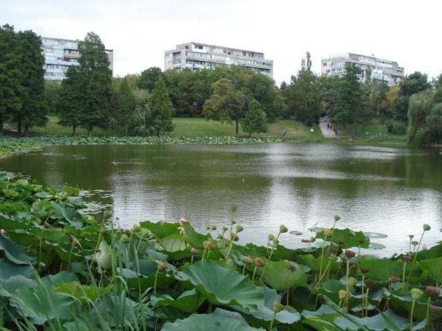 Apartament 3 camere Parcul Circului cu vedere la parc