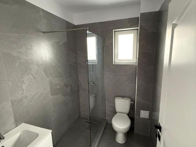 Apartament 3 camere, parter, nemobilat, stejarului, dobroiesti