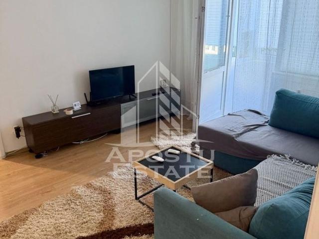 Apartament 3 camere, pet friendly, de inchiriat, Dambovita, Timisoara