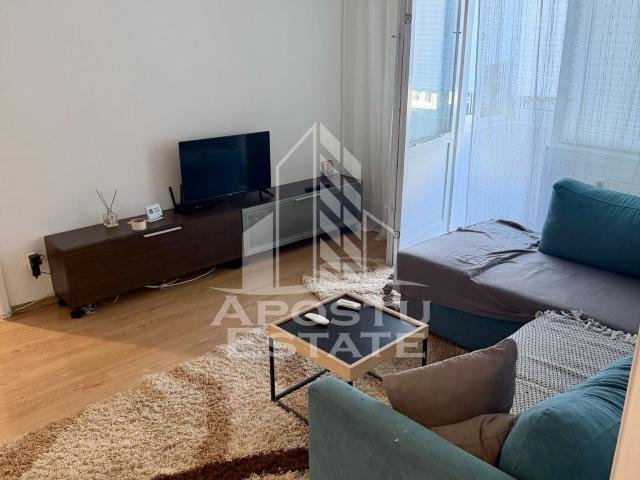Apartament 3 camere, petfriendly, de inchiriat, Dambovita, Timisoara