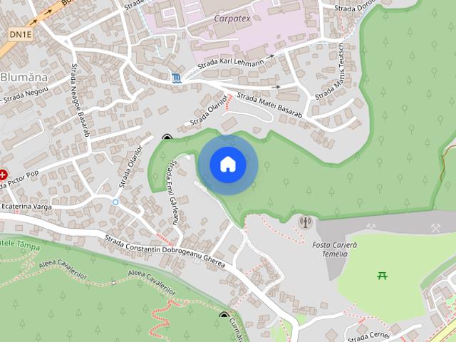 Apartament 3 camere poalele Tâmpei pet friendlly