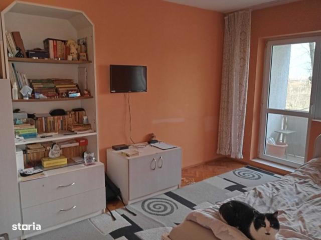 Apartamente de vânzare: Subcentral, Satu Mare