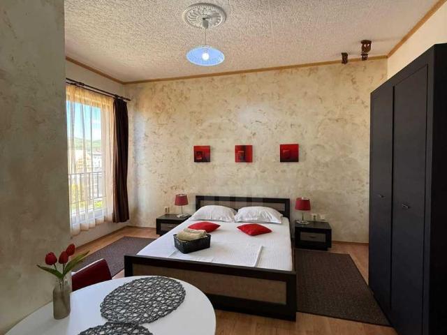 Apartamente de Închiriere o camera Cluj Napoca, Borhanci, APCJ358329