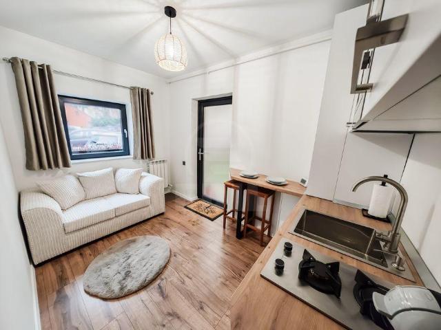 Apartamente de Închiriere o camera Cluj Napoca, Central, APCJ353916