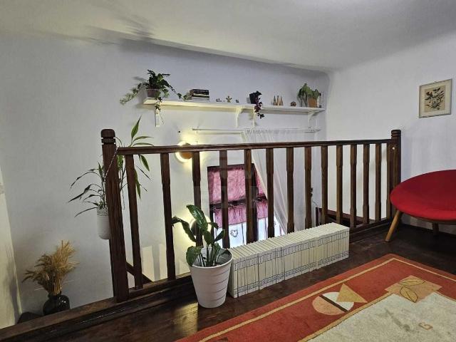 Apartamente de Închiriere o camera Cluj Napoca, Central, APCJ359791
