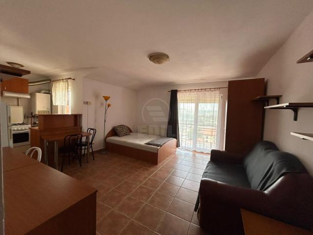 Apartamente de Închiriere o camera Cluj Napoca, Zorilor, APCJ358953
