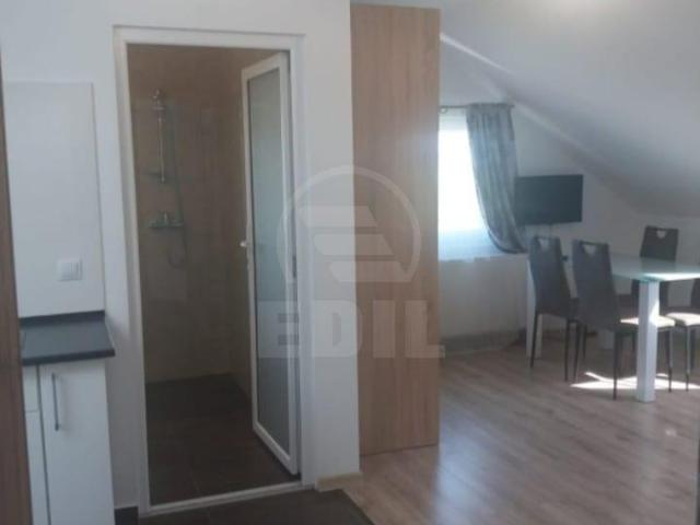 Apartamente de Închiriere o camera Cluj Napoca, Zorilor, APCJ359054