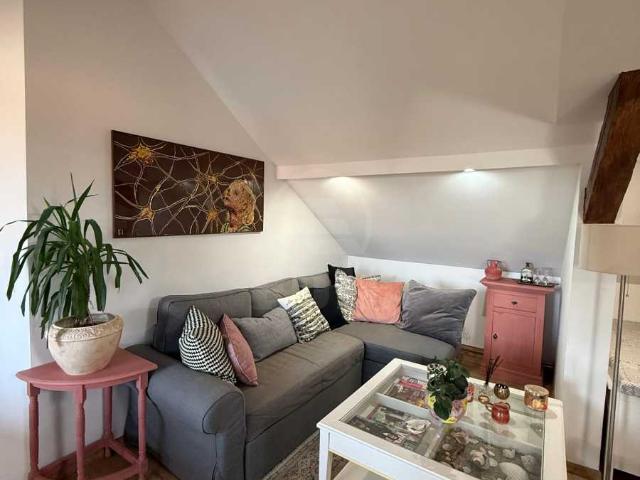 Apartamente de Închiriere 2 camere Cluj Napoca, Central, APCJ359621