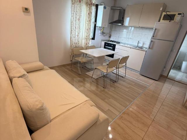 Apartamente de Închiriere 2 camere Cluj Napoca, Zorilor, APCJ358928