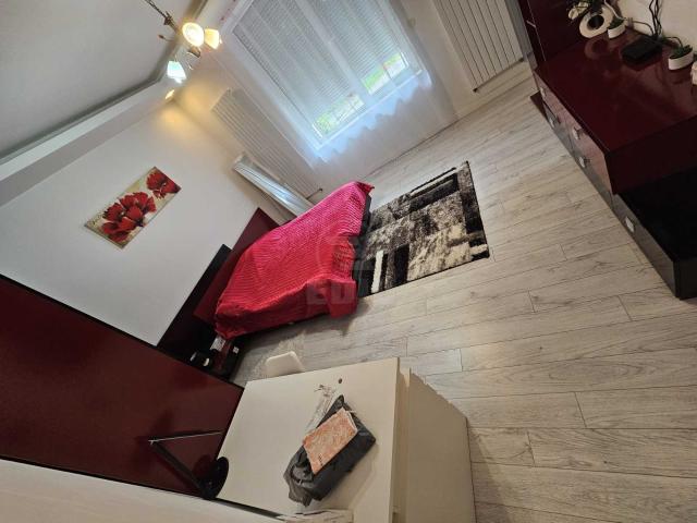 Apartamente de Închiriere 4 camere Cluj Napoca, Central, APCJ358811