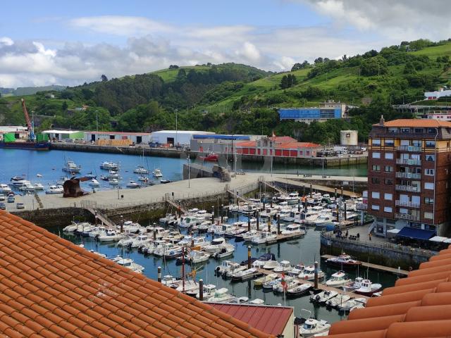 Apartamento 2 dormitorios 55 m2