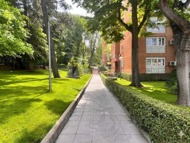 Apartamento 2 dormitorios 80 m2 86m² Madrid
