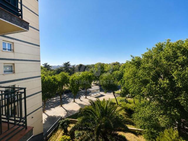 Apartamento 3 dormitorios 86 m2