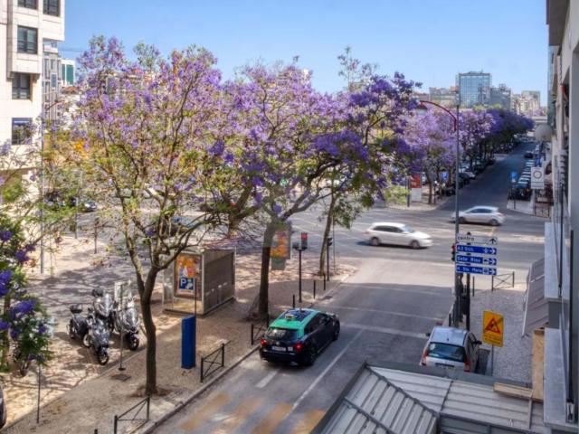 Apartamento T3 de Luxo no Centro de Lisboa
