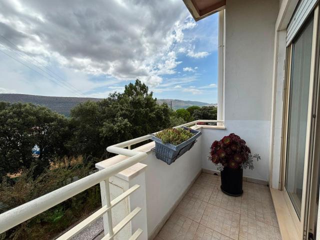 Apartamento T3 em Minde