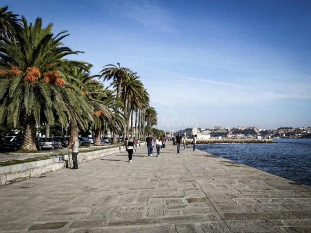 Apartamento T3 Foz do Douro