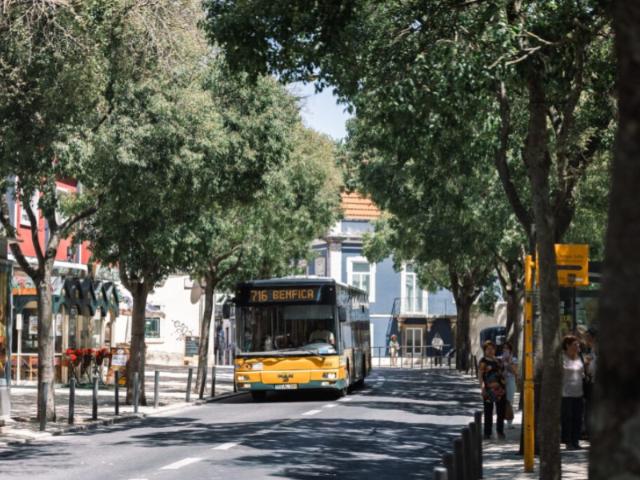 Apartamento T3 remodelado em Benfica