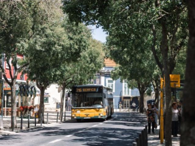 Apartamento T3 remodelado em Benfica