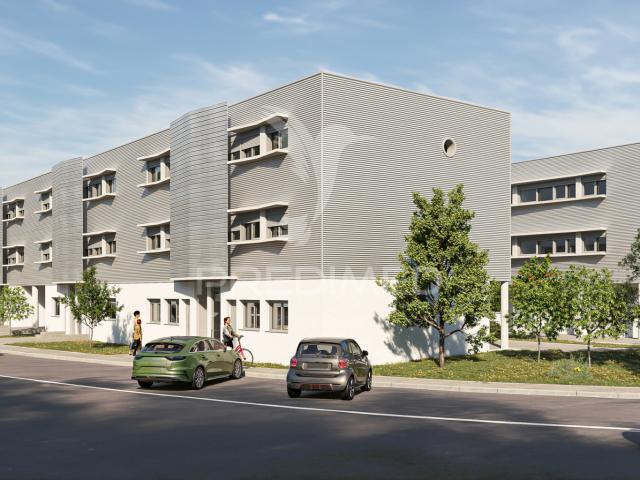 Apartamento T0 na Quinta da Francesa Terra Chã, Angra do Heroísmo