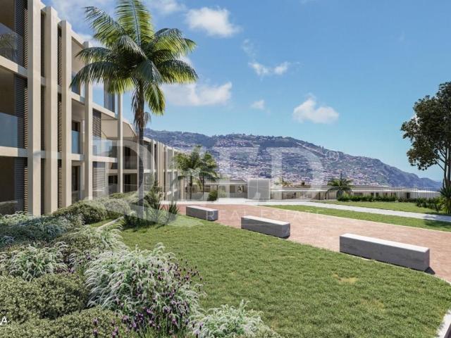 Apartamento T1 0m² São Martinho