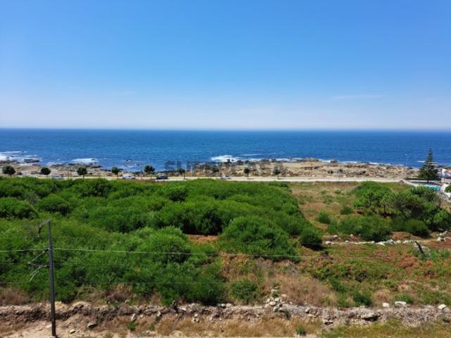 Apartamento T1 Vila Praia de Âncora
