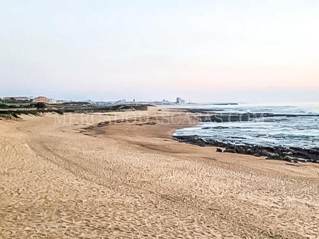 Apartamento T1 de qualidade superior junto à praia