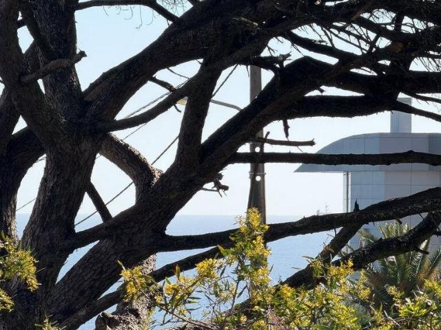 Apartamento T1 em Cascais e Estoril de 58 m² 58m² Cascais e Estoril