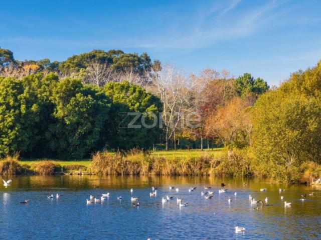 Apartamento T1 em Matosinhos sul