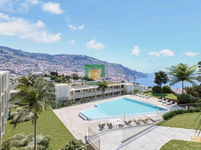 Apartamento T1 Funchal The HILLS | 26063708185
