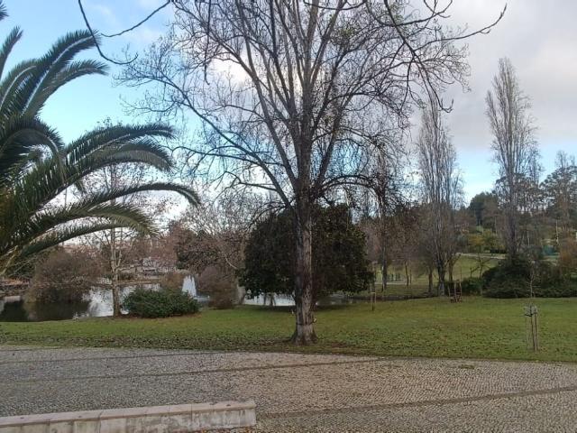 Apartamento T2, Alto Do Seixalinho, Santo André e Verderena, Barreiro | BPI Expresso Imobiliário