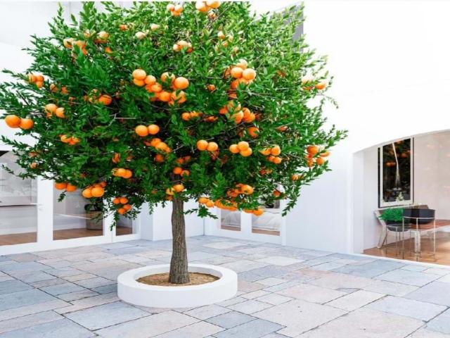 Apartamento T2 com Vista Panorâmica sobre o Rio Guadiana