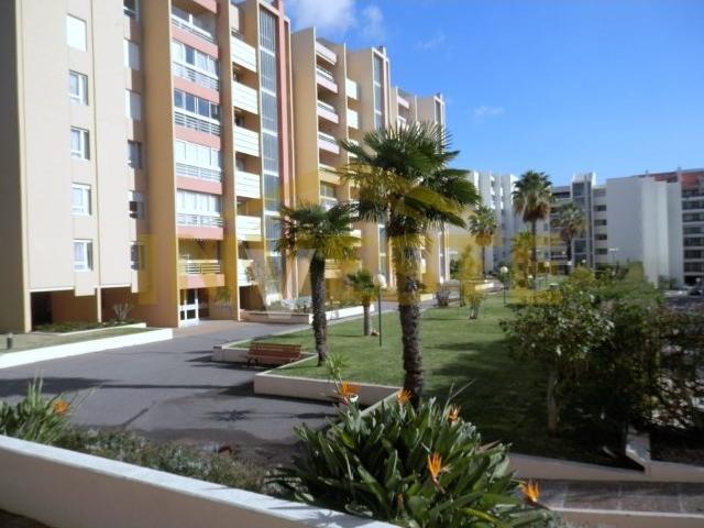 Apartamento T2 Renovado com Muita Luz