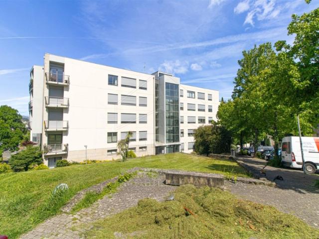 Apartamento T4, Abelheira